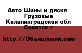 Авто Шины и диски - Грузовые. Калининградская обл.,Советск г.